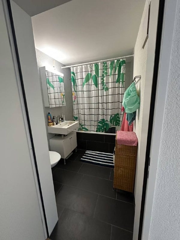 Appartement 2 pièces meublé – Centre-ville